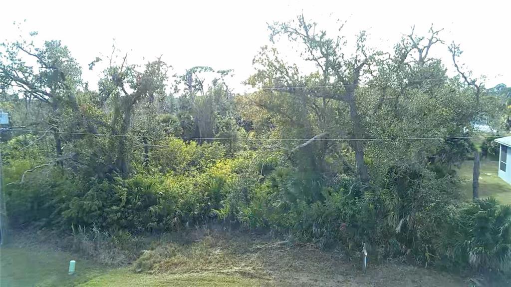 An exterior view of a wooded lot with dense trees and vegetation — 102 SUNNY WAY, ROTONDA WEST, FL