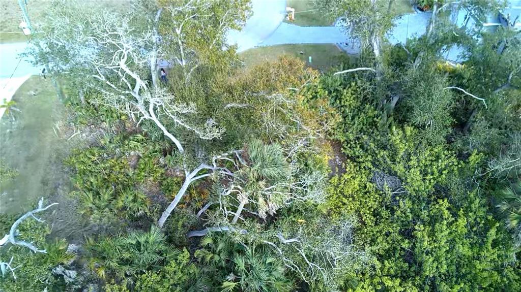 An aerial view shows a wooded lot with mature trees and dense green vegetation — 102 SUNNY WAY, ROTONDA WEST, FL