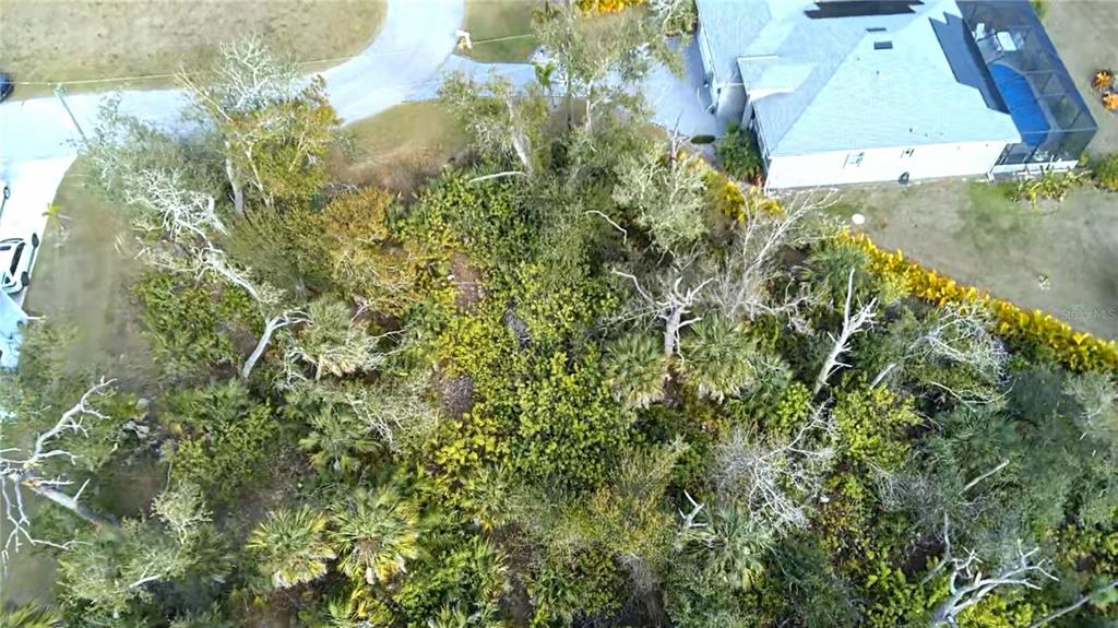An aerial view shows a densely wooded lot situated between a residential street and house — 102 SUNNY WAY, ROTONDA WEST, FL