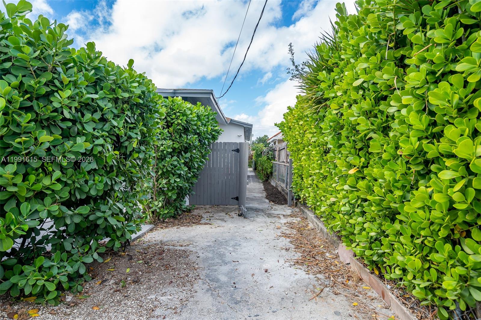 A concrete pathway leads between two tall green hedges toward a gray wooden gate — 2230 SW 60th Ct, Miami FL 33155, MIAMI, FL