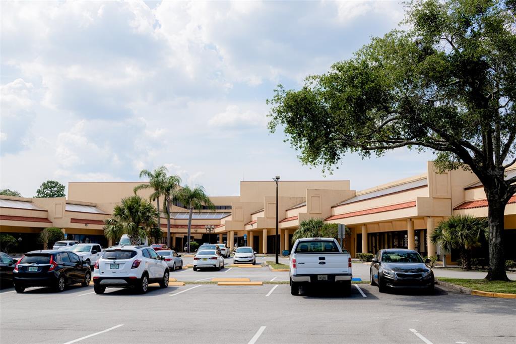 520 W LAKE MARY BOULEVARD UNIT 217