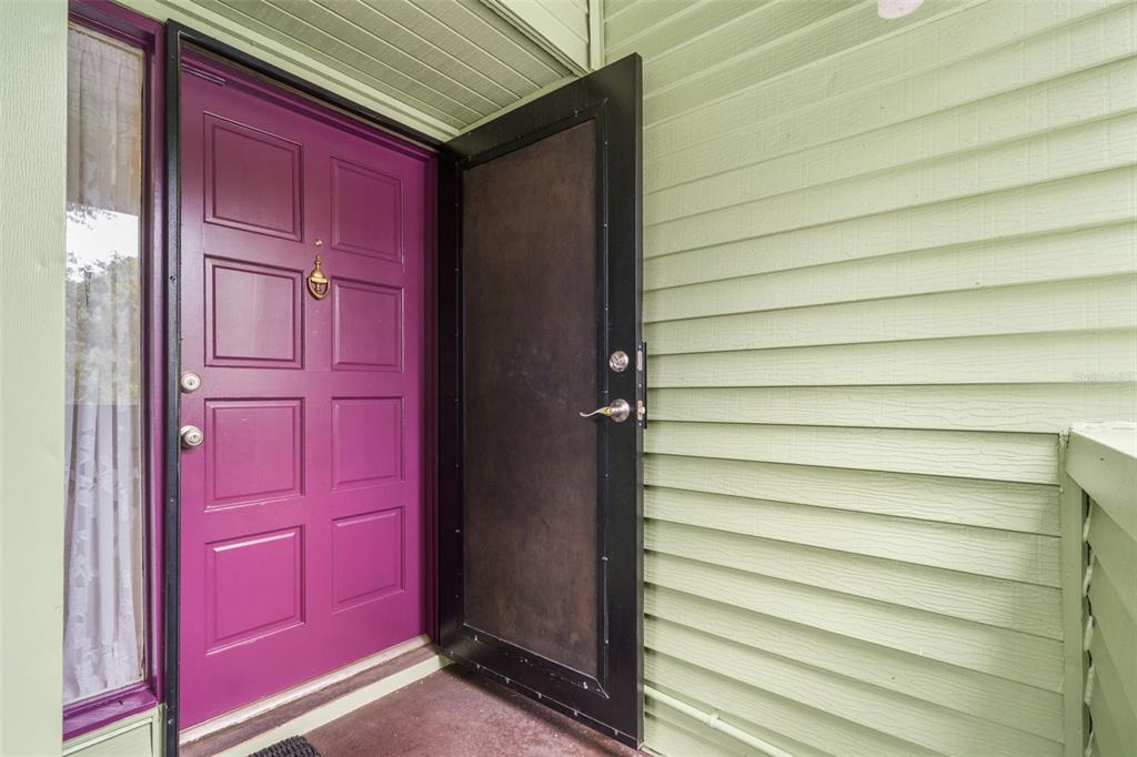 A bright purple front door with a black storm door sits against light green siding — 4138 PINELAKE LANE UNIT 201, TAMPA, FL