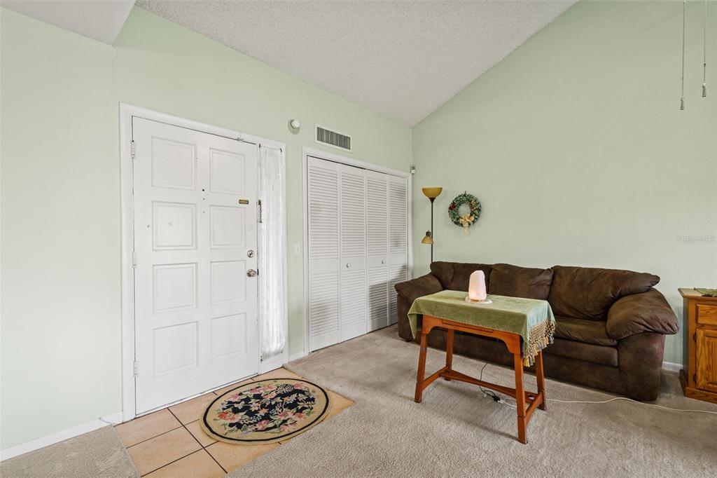 A living room features a white front door, beige carpeting, a brown sofa, and vaulted ceilings — 4138 PINELAKE LANE UNIT 201, TAMPA, FL
