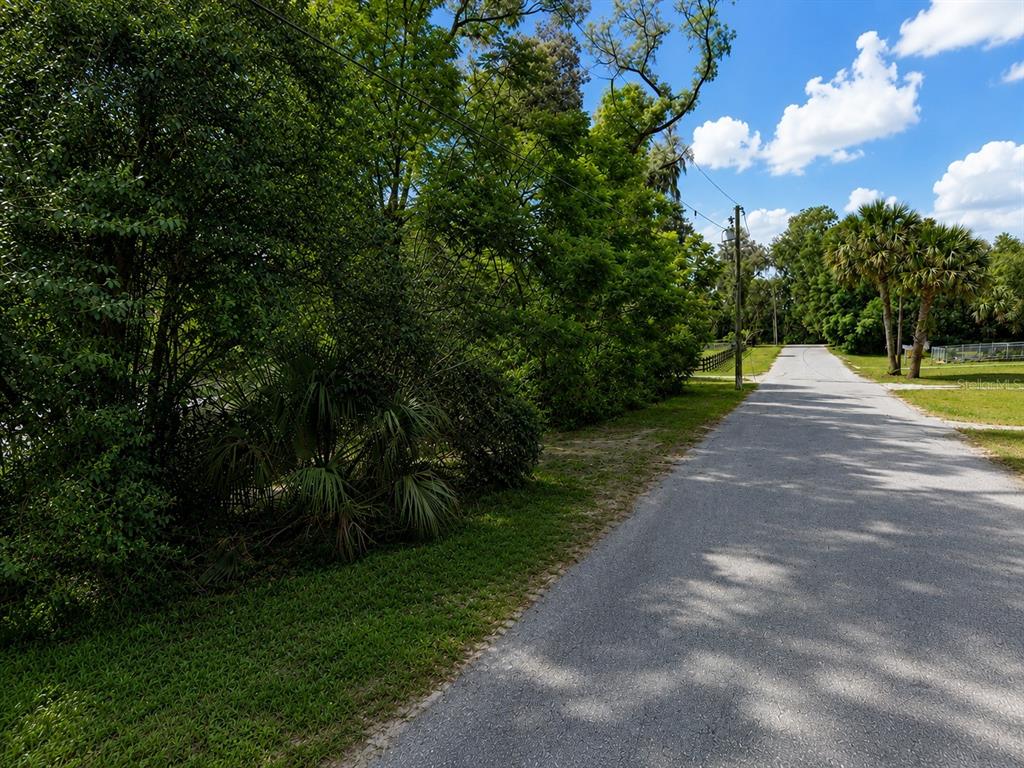A paved road runs alongside a dense line of trees and foliage under a blue sky — 2980 N SPARKMAN AVENUE, ORANGE CITY, FL