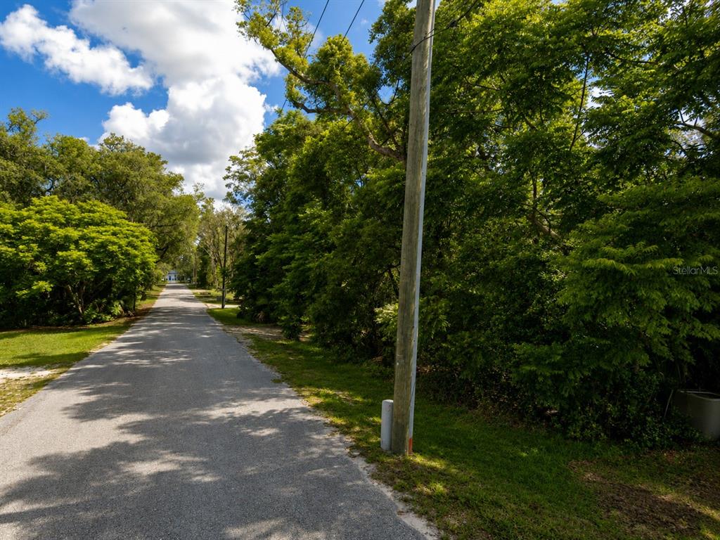 A paved road stretches into the distance, flanked by dense green trees and a utility pole — 2980 N SPARKMAN AVENUE, ORANGE CITY, FL