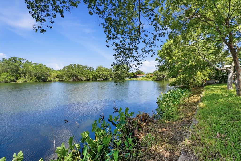 A view of a calm lake bordered by green trees and grassy banks — 906 CARLTON ROAD, TARPON SPRINGS, FL