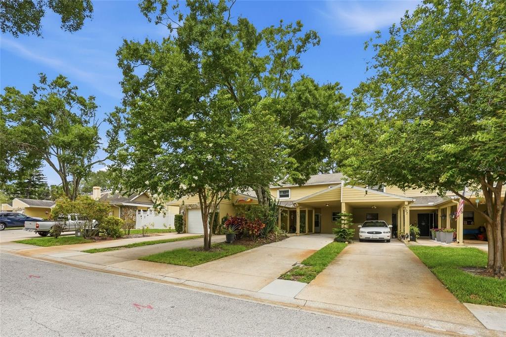 A street view of two adjacent yellow houses with carports and mature trees — 205 SOMERSET LANE, PALM HARBOR, FL