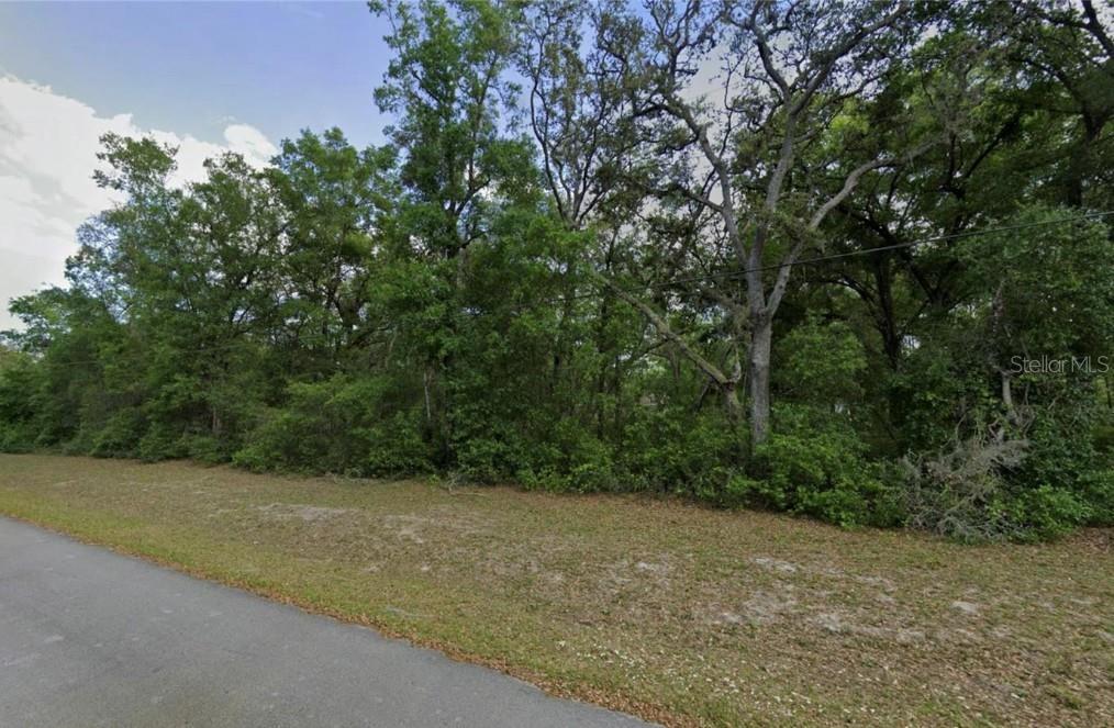 A paved road runs alongside a wooded lot with dense trees and underbrush — 0 SE 59TH PLACE, OCKLAWAHA, FL