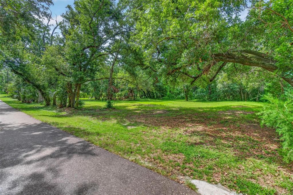 A paved path runs alongside a grassy, tree-filled vacant lot under a bright sky — ABBEY LAKE ROAD, CLEARWATER, FL