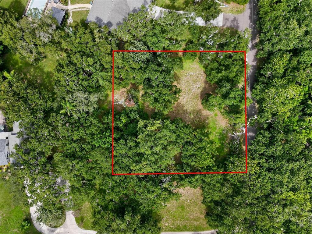 An aerial view shows a rectangular plot of land outlined in red amidst dense trees — ABBEY LAKE ROAD, CLEARWATER, FL