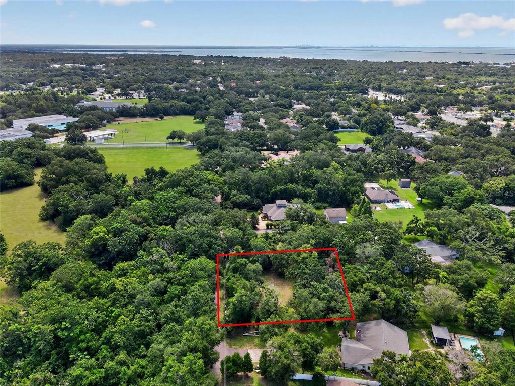 An aerial view shows a rectangular wooded lot outlined in red within a residential neighborhood — ABBEY LAKE ROAD, CLEARWATER, FL