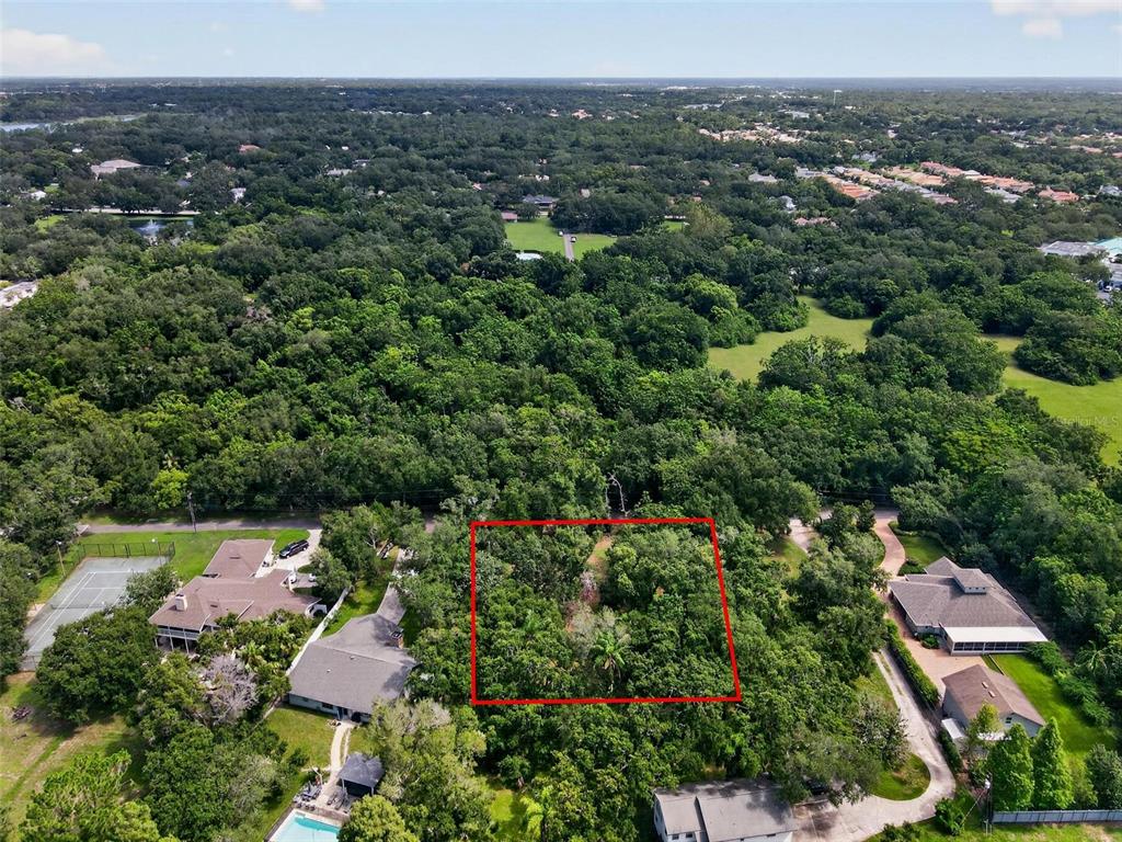 An aerial view shows a rectangular wooded lot outlined in red surrounded by residential homes — ABBEY LAKE ROAD, CLEARWATER, FL