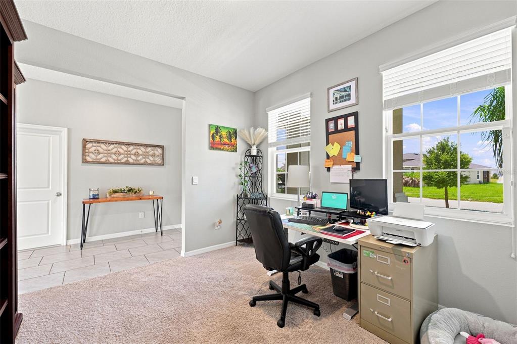 A home office features a desk, office chair, filing cabinet, and two windows with blinds — 8673 BOWER BASS CIRCLE, WESLEY CHAPEL, FL