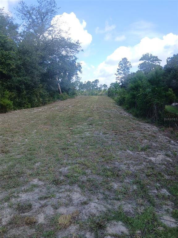 STATE ROAD 44, EUSTIS, FL — photo 5 of 5