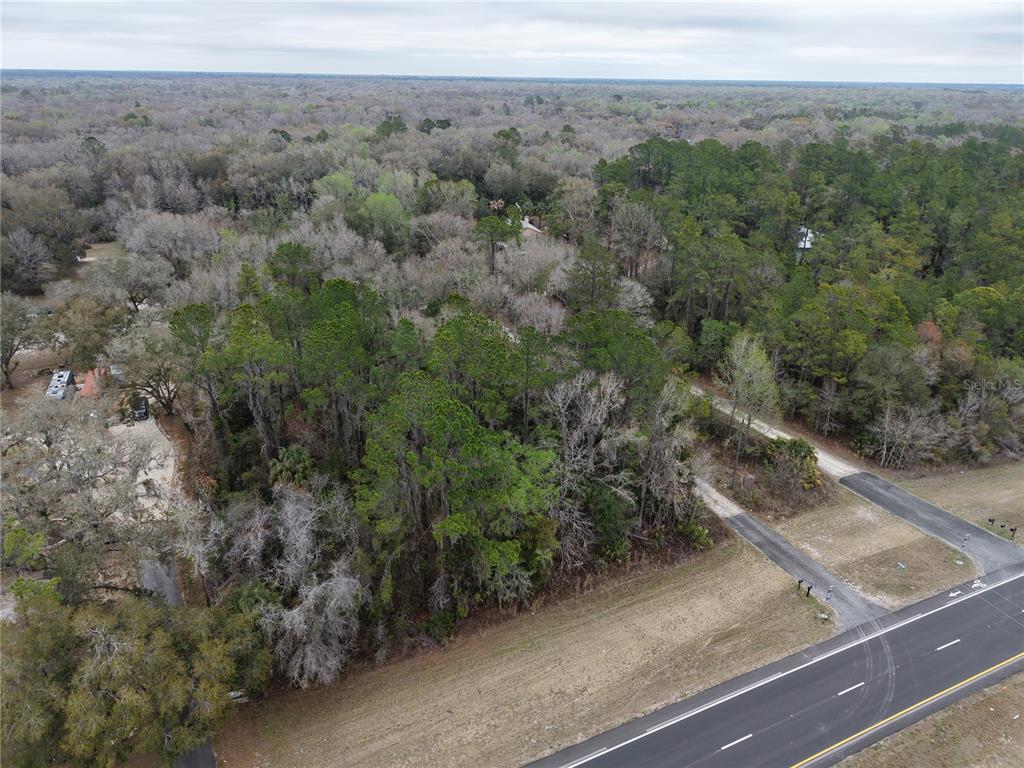736 S SICKLE POINT, INVERNESS, FL — photo 4 of 5