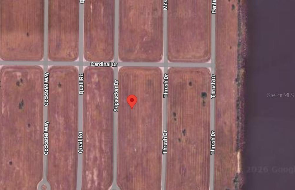 This is a map showing a red location pin on a vacant lot near Sapsucker Drive — 16 SAPSUCKER DRIVE, PLACIDA, FL