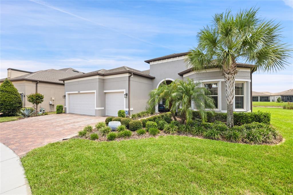 A single-story house with a gray stucco exterior, a brick driveway, and a palm tree — 4792 MARITIME WATERS COURT, LAND O LAKES, FL