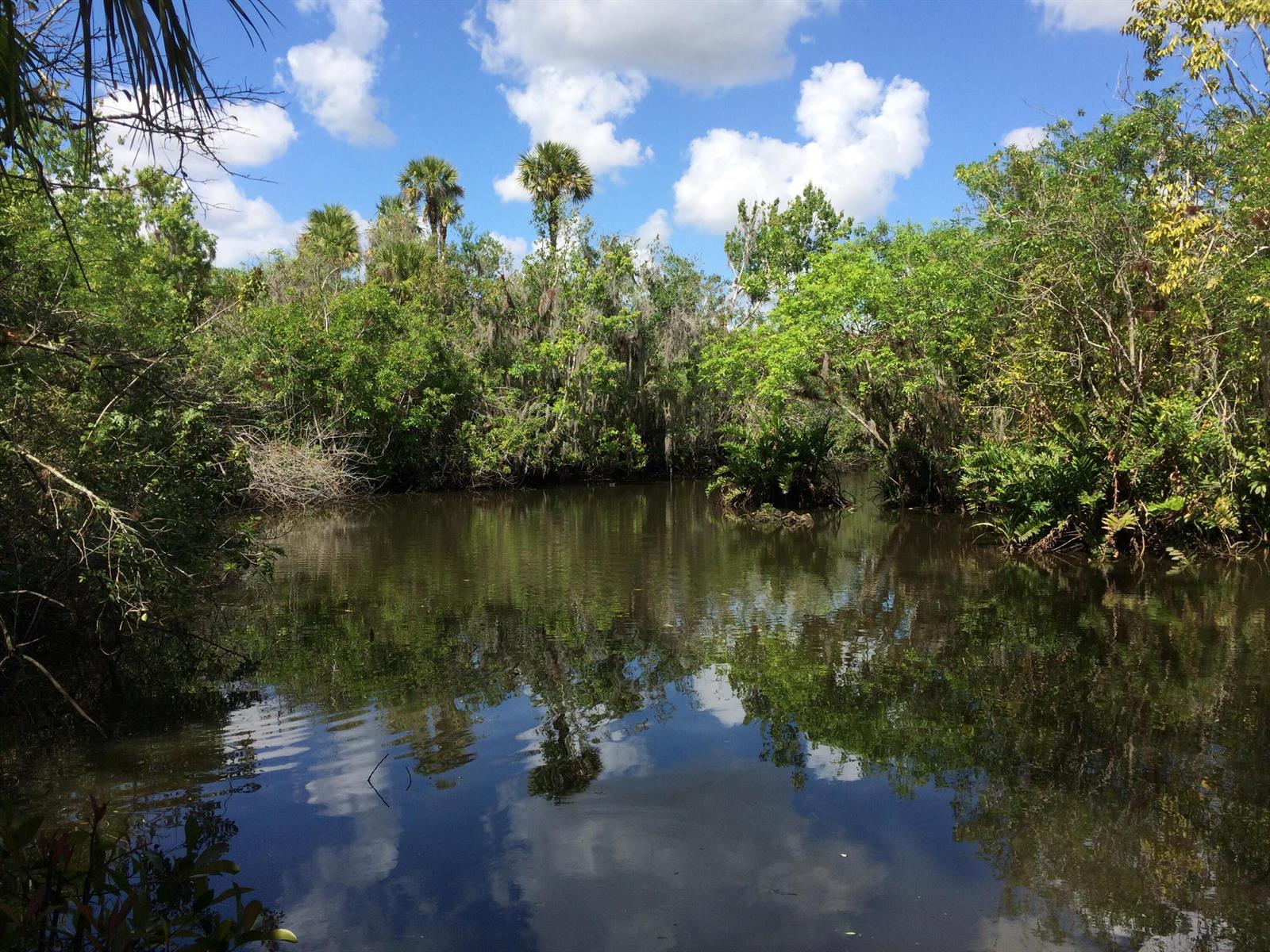 A calm, dark pond is surrounded by lush green trees and tall palm trees — 1802 Old River Road, Fort Pierce FL 34982, FORT PIERCE, FL