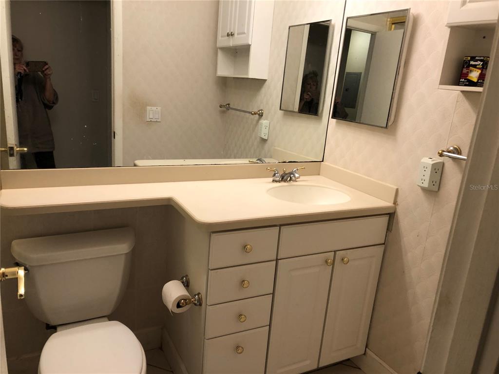 A bathroom features a white vanity, a large mirror, and a toilet next to it — 6344 NEWTOWN CIRCLE UNIT 44A1, TAMPA, FL