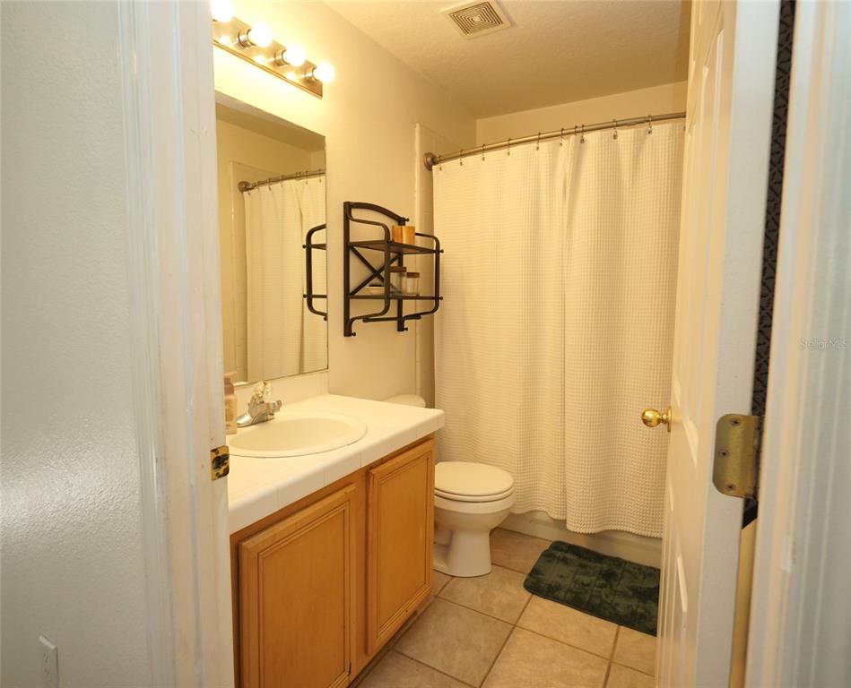 A bathroom features a wooden vanity, a white sink, a toilet, and a shower curtain — 6921 JAMESTOWN MANOR DRIVE, RIVERVIEW, FL