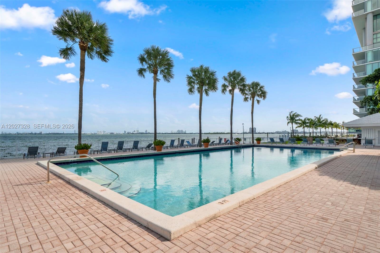 A rectangular swimming pool sits on a brick patio lined with palm trees by the water — 3301 NE 5th Ave # 1015, Miami FL 33137, MIAMI, FL