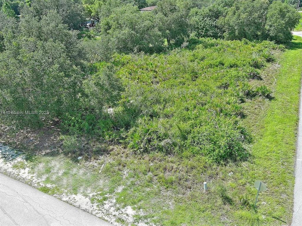 An aerial view of a vacant, overgrown, wooded lot next to a paved road — 2517 67TH STREET W, LEHIGH ACRES, FL