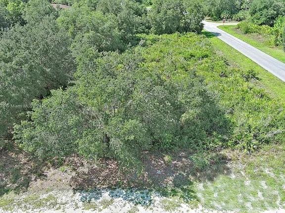 An aerial view shows a densely wooded, undeveloped lot adjacent to a paved road — 2517 67TH STREET W, LEHIGH ACRES, FL