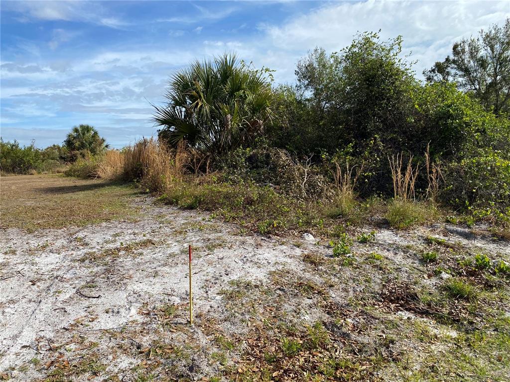 A survey marker stands in a sandy, undeveloped lot with native vegetation and palm trees — 1616/1999 COASTAL/BROADPOINT DRIVE, PUNTA GORDA, FL