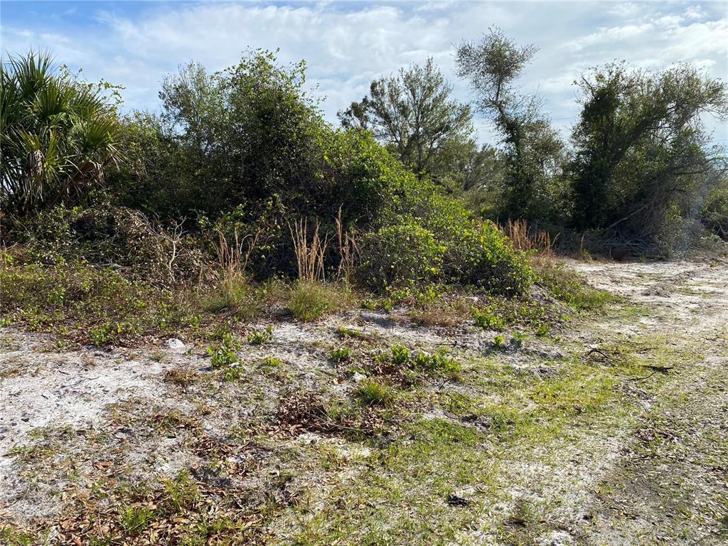A sandy, partially cleared lot features dense green vegetation and scattered trees under a sky — 1616/1999 COASTAL/BROADPOINT DRIVE, PUNTA GORDA, FL
