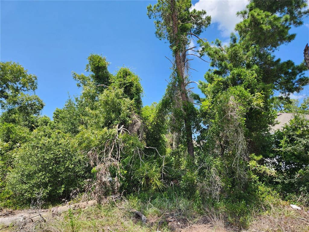 6241 MARINER BOULEVARD Lot 31, SPRING HILL, FL — photo 4 of 8