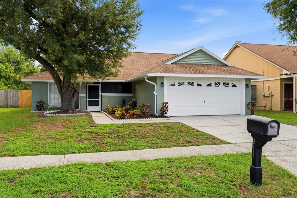 A single-story house with a green exterior, a two-car garage, and a large front tree — 8723 OSAGE DRIVE, TAMPA, FL