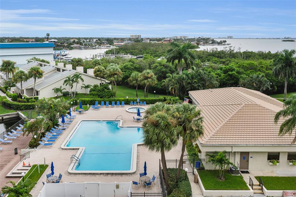 An outdoor swimming pool and patio area are surrounded by palm trees and residential buildings — 1324 PASADENA AVENUE S UNIT 605, ST PETERSBURG, FL