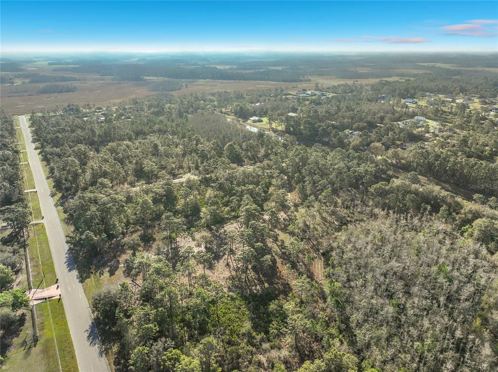 An aerial view shows a paved road bordering a large, wooded plot of undeveloped land — QUARTERLY PARKWAY, ORLANDO, FL