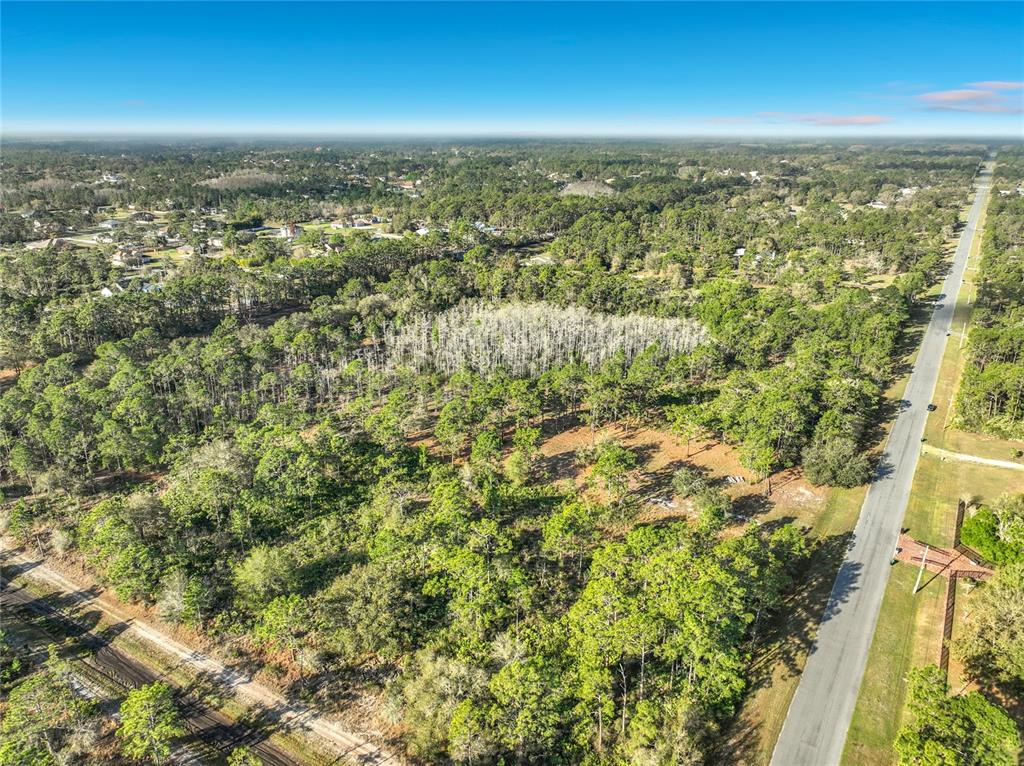 An aerial view shows a wooded lot bordered by a paved road and a dirt path — QUARTERLY PARKWAY, ORLANDO, FL