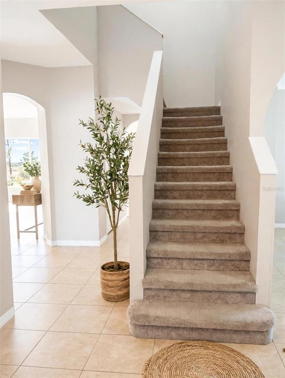 A carpeted staircase stands next to a potted olive tree in a tiled entryway — 4236 BALINGTON DRIVE, VALRICO, FL