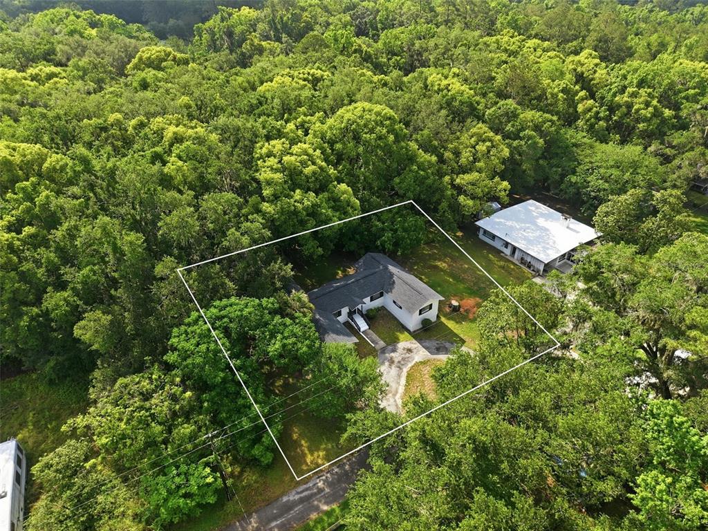 An aerial view shows a single-story house surrounded by dense trees with a white boundary — 65 MARKHAM LANE, BROOKSVILLE, FL