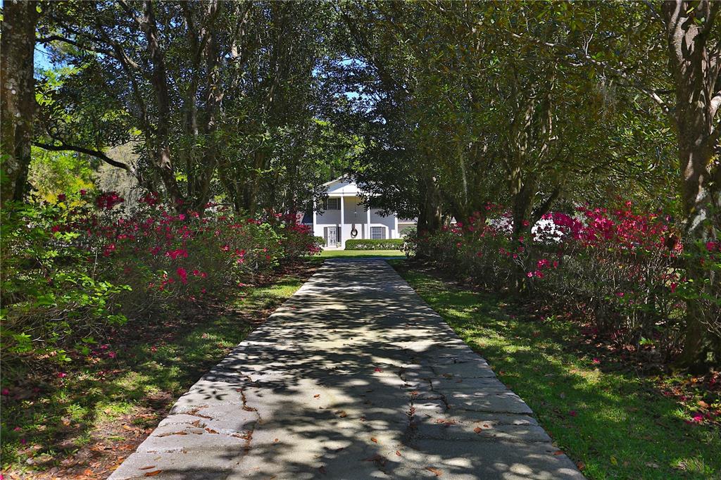 A long stone driveway leads through a tree-lined path toward a two-story white house — 2881 SE 41ST PLACE, OCALA, FL