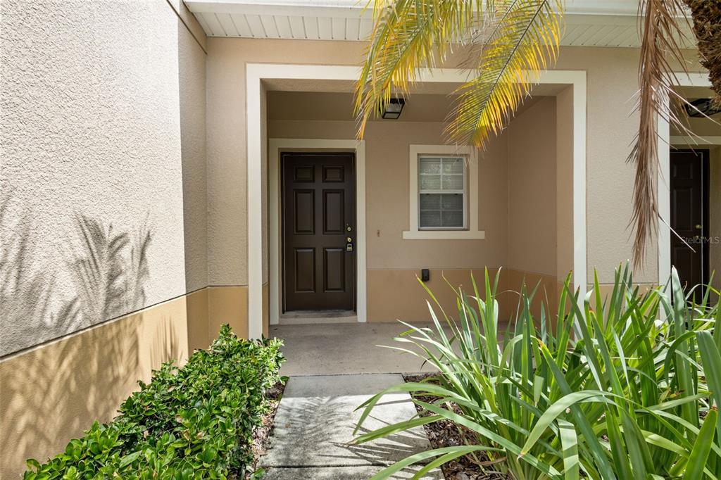 A front entryway with a brown door, a window, and landscaping under a covered porch — 2972 ROYAL TUSCAN LANE, VALRICO, FL