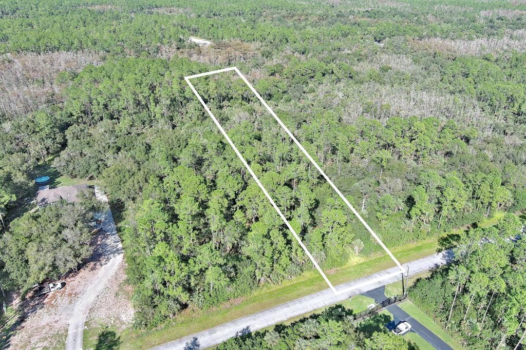 An aerial view shows a rectangular plot of wooded land outlined in white along a road — 0 32ND AVENUE SE, NAPLES, FL