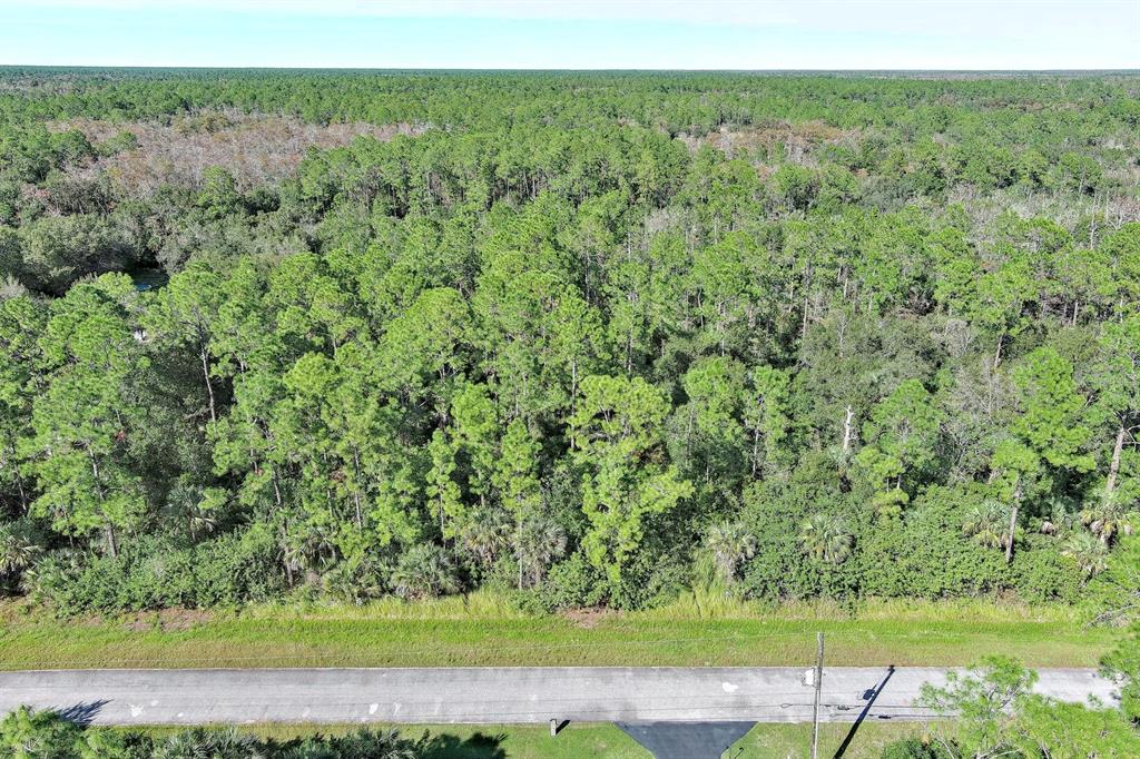 An aerial view shows a paved road bordering a dense, wooded forest area — 0 32ND AVENUE SE, NAPLES, FL