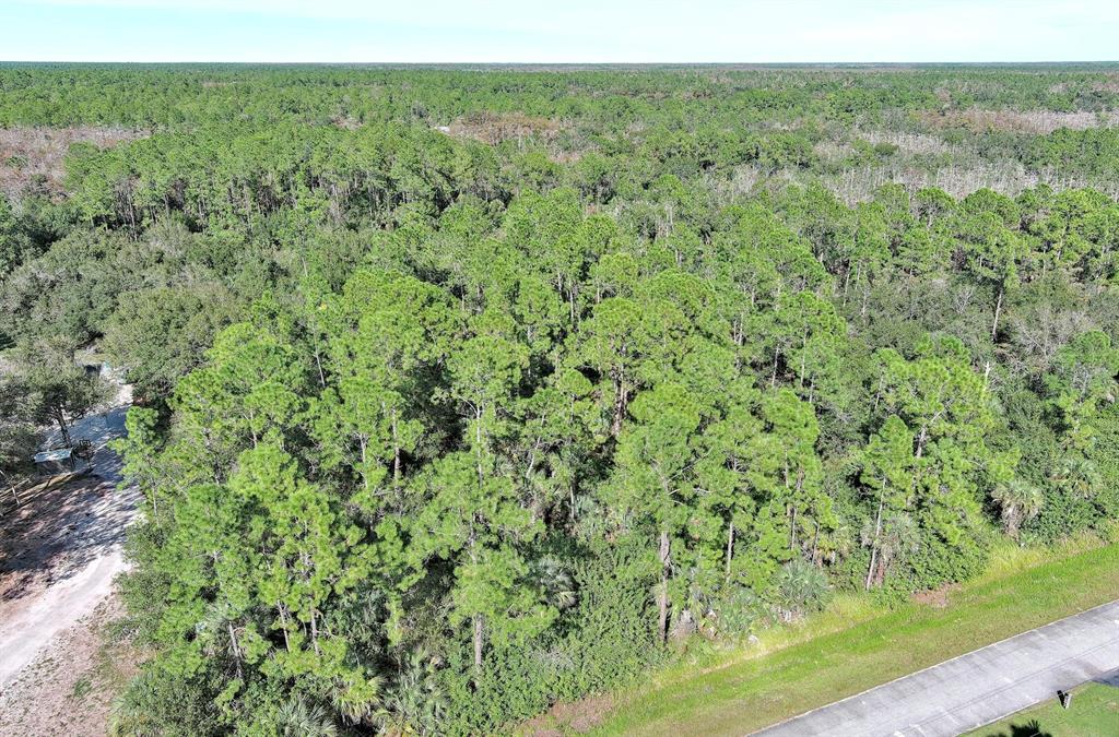 An aerial view shows a dense wooded lot bordered by a road and a driveway — 0 32ND AVENUE SE, NAPLES, FL