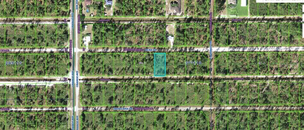 An aerial map view shows a highlighted rectangular land parcel surrounded by undeveloped wooded lots — 709 ALBA DRIVE, INDIAN LAKE ESTATES, FL