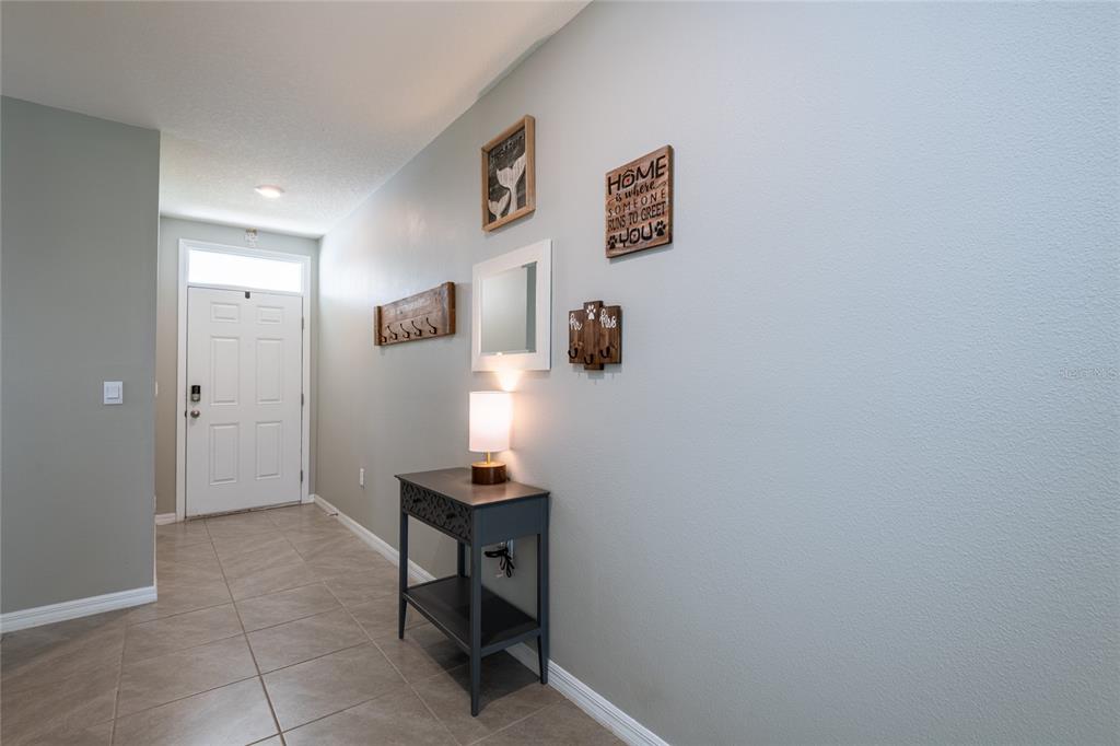 A hallway features a console table, wall decor, and a white front door with sidelights — 3520 MAPLE GROVE WAY, PLANT CITY, FL