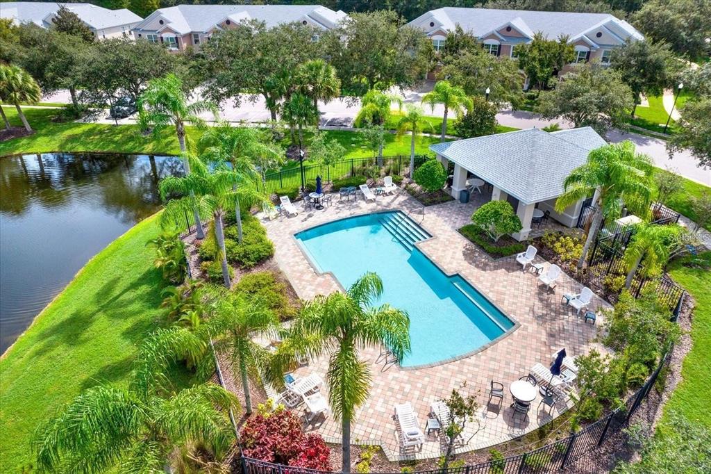 An aerial view of a community swimming pool with a covered patio and surrounding landscaping — 26543 CASTLEVIEW WAY, WESLEY CHAPEL, FL