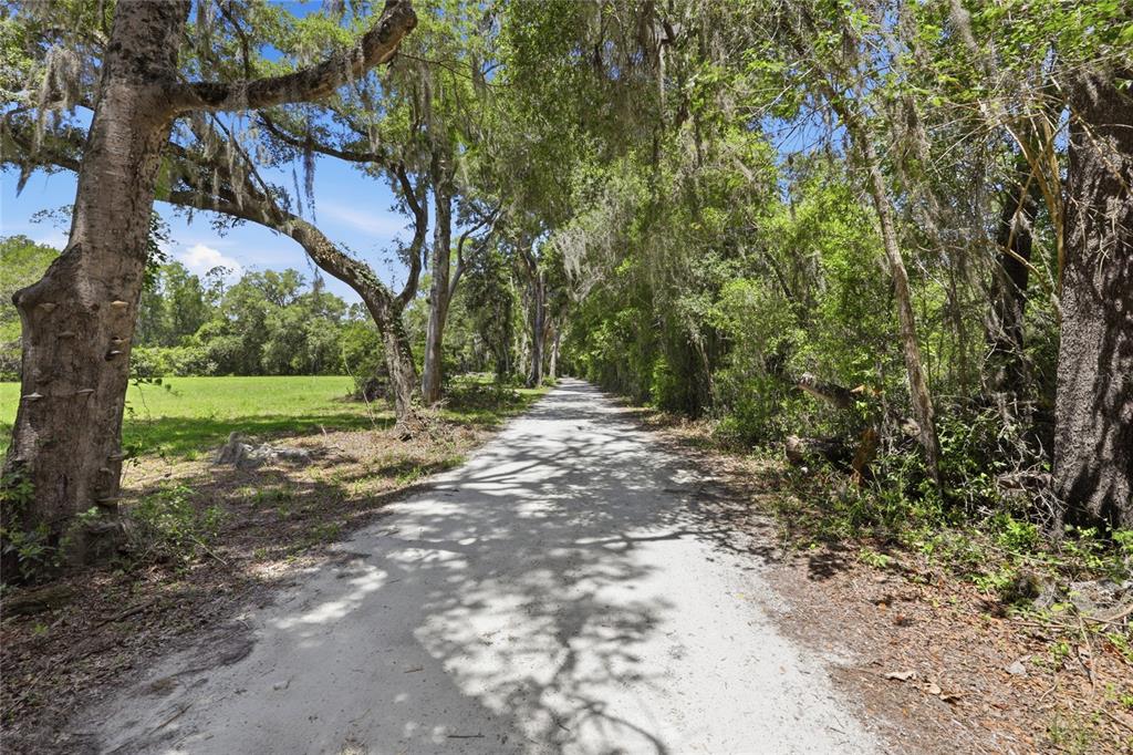 A dirt path winds through a wooded area with large trees draped in Spanish moss — 1224 NW 143RD STREET, NEWBERRY, FL