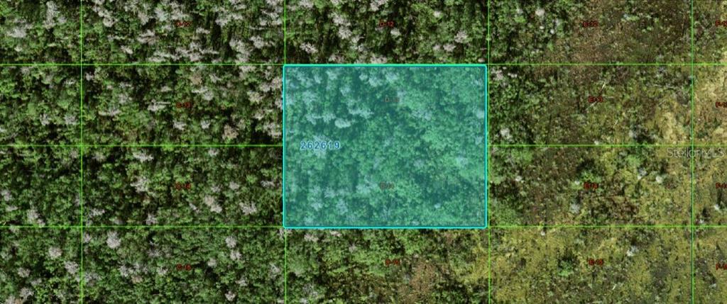 This aerial map shows a highlighted rectangular plot of land surrounded by dense forest — OLD GRADE RD, POLK CITY, FL