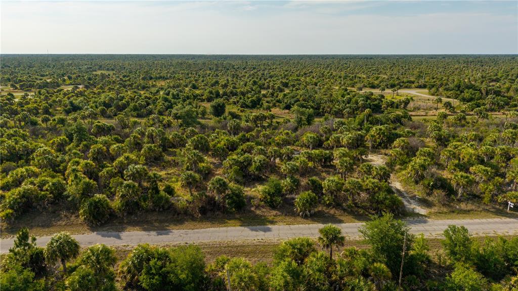 An aerial view shows a paved road running through a dense, undeveloped wooded landscape — 8607 FIREGLOW CIRCLE, NORTH PORT, FL
