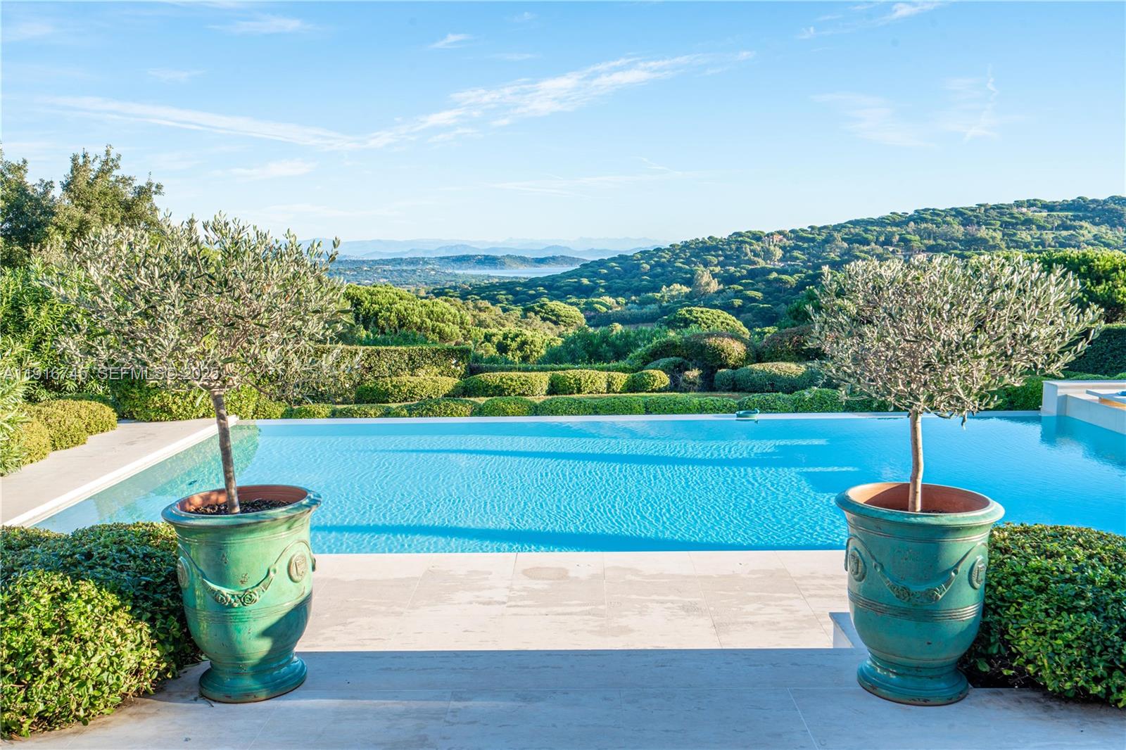 A swimming pool overlooks a lush, hilly landscape with two potted olive trees in the foreground — La quessine Le Paradis, FL, FL