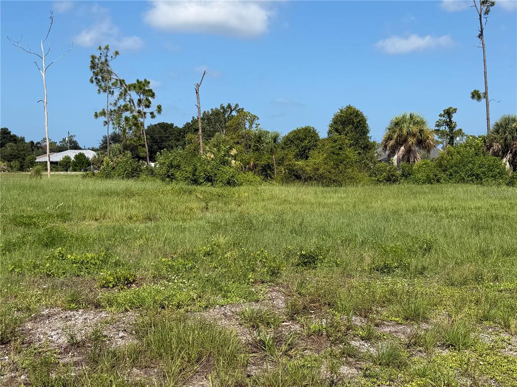 A grassy, undeveloped lot features scattered trees and shrubs under a bright blue sky — 198 FAIRWAY ROAD, ROTONDA WEST, FL