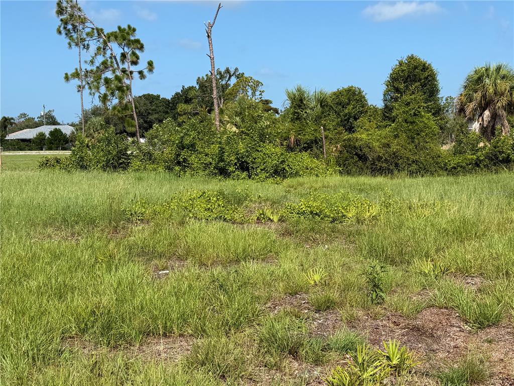 A grassy, undeveloped lot features scattered shrubs, small palm plants, and trees under a blue sky — 198 FAIRWAY ROAD, ROTONDA WEST, FL